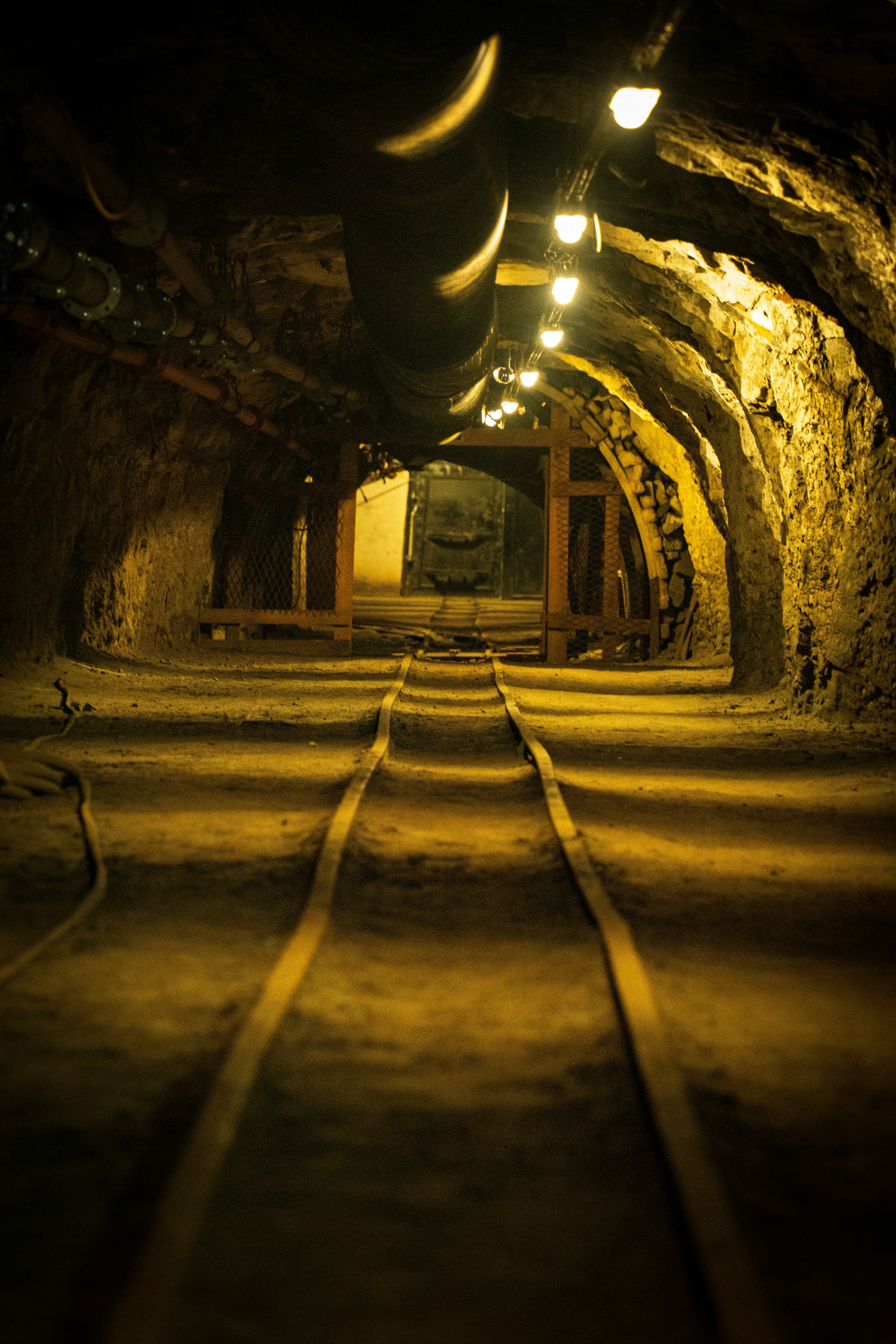 Adaptable for specialized teams and high-risk operations